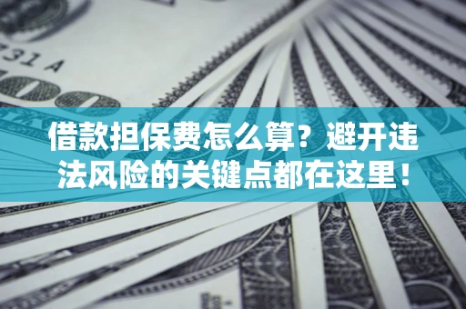 济南借款担保费怎么算？避开违法风险的关键点都在这里！