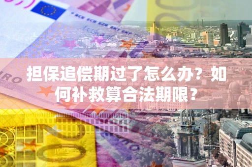 济南担保追偿期过了怎么办？如何补救算合法期限？
