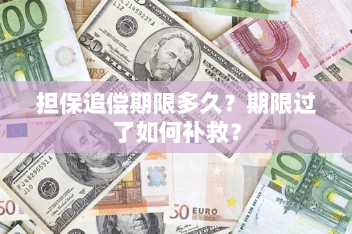 济南担保追偿期限多久？期限过了如何补救？
