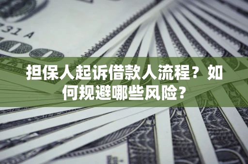 济南担保人起诉借款人流程？如何规避哪些风险？